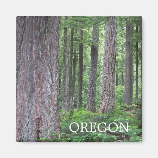 Oregon Evergreen Forest Magnet (Vorne)