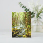 Oregon Fantasy Forest Stream Postkarte (Stehend Vorderseite)