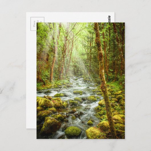 Oregon Fantasy Forest Stream Postkarte (Vorne/Hinten)