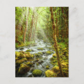 Oregon Fantasy Forest Stream Postkarte (Vorderseite)