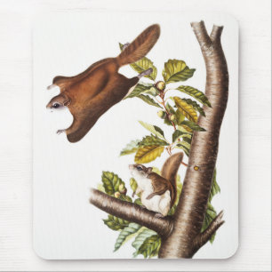 Oregon-Flughörnchen (Pteromys Origonensis) Mousepad