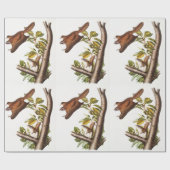 Oregon Flying Eichhörnchen (Pteromys Origonensis) Geschenkpapier (Flach)
