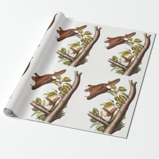Oregon Flying Eichhörnchen (Pteromys Origonensis) Geschenkpapier (Ungerollt)