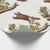 Oregon Flying Eichhörnchen (Pteromys Origonensis) Geschenkpapier (Ecke)