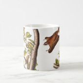 Oregon Flying Eichhörnchen (Pteromys Origonensis) Kaffeetasse (Mittel)