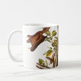Oregon Flying Eichhörnchen (Pteromys Origonensis) Kaffeetasse