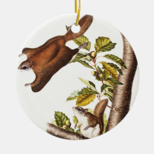 Oregon Flying Eichhörnchen (Pteromys Origonensis) Keramik Ornament
