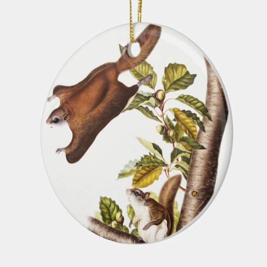 Oregon Flying Eichhörnchen (Pteromys Origonensis) Keramik Ornament (Links)