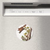 Oregon Flying Eichhörnchen (Pteromys Origonensis) Magnet (In Situ (Geschirrspüler))