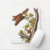 Oregon Flying Eichhörnchen (Pteromys Origonensis) Mousepad (Mit Mouse)