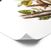 Oregon Flying Eichhörnchen (Pteromys Origonensis) Poster (Ecke)