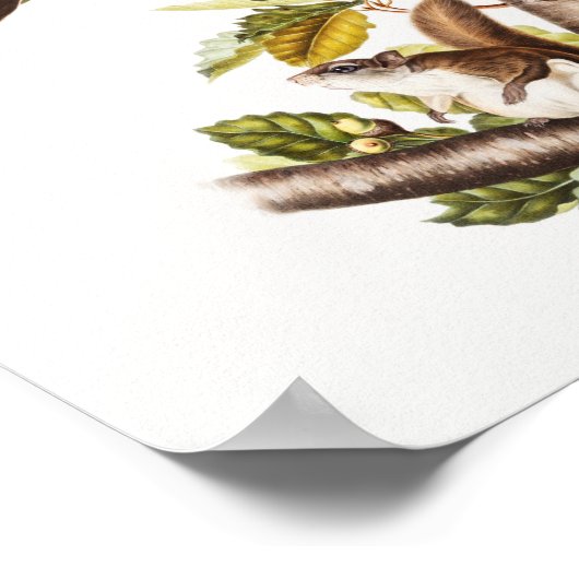 Oregon Flying Eichhörnchen (Pteromys Origonensis) Poster (Ecke)