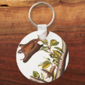 Oregon Flying Eichhörnchen (Pteromys Origonensis) Schlüsselanhänger (Vorderseite)