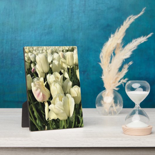 Oregon Fotoplatte (Seite)