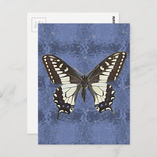 Oregon Frack Butterfly Postkarte (Vorne/Hinten)