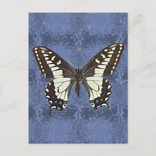 Oregon Frack Butterfly Postkarte (Vorderseite)