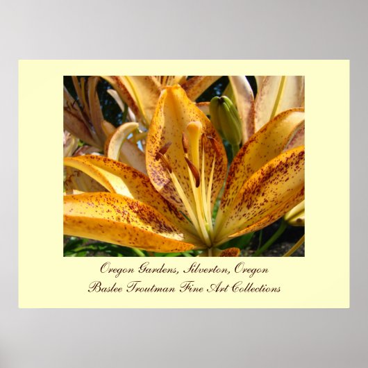 Oregon Gardens Silverton Golden Lido Blume Poster (Vorne)