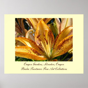 Oregon Gardens Silverton Goldene Lilienblumen Poster