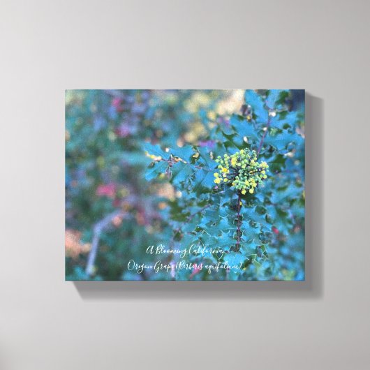 Oregon Grape Canvas Print Leinwanddruck (Vorderseite)