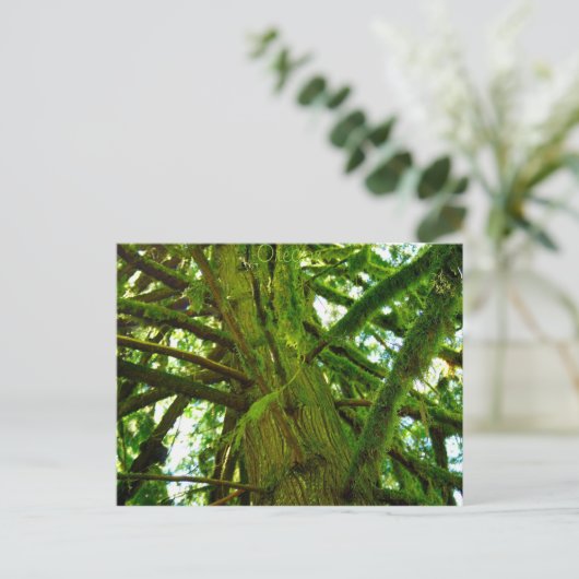 Oregon Green Postkarte (Stehend Vorderseite)
