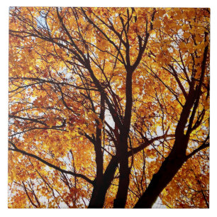 Oregon Herbstlaubs Fliese