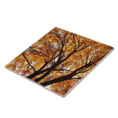 Oregon Herbstlaubs Fliese (Seite)