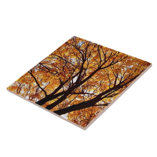 Oregon Herbstlaubs Fliese (Seite)