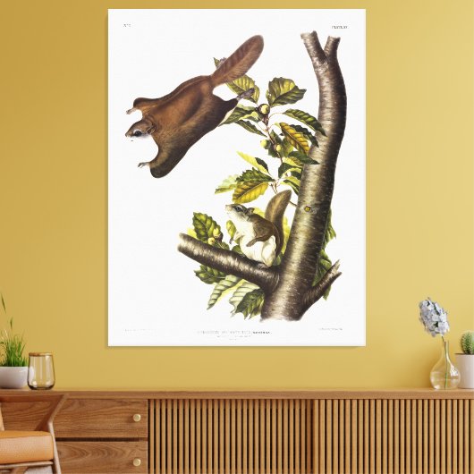 Oregon (Humboldt's Flying Squirrel von Audubon Leinwanddruck (Insitu (Wohnzimmer))