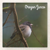 Oregon Junco Glasuntersetzer (Vorderseite)