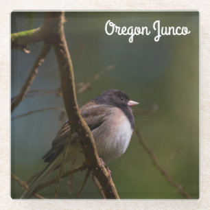 Oregon Junco Glasuntersetzer