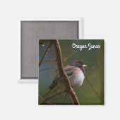 Oregon Junco Magnet (Vorderseite/Rückseite)