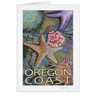 Oregon-Küste Tidepool
