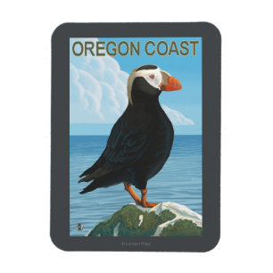Oregon-Küsten-büscheliger Papageientaucher Magnet
