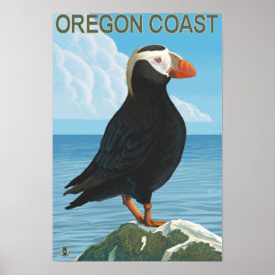 Oregon-Küsten-büscheliger Papageientaucher Poster