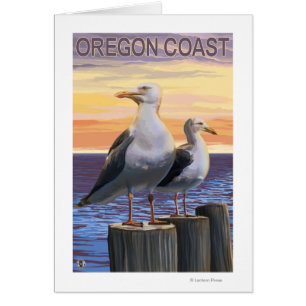 Oregon-Küsten-Seemöven