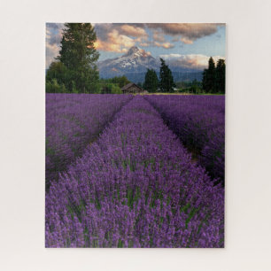 Oregon Lavender Field mit Blick auf den Monte Hood Puzzle