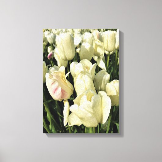 Oregon Leinwanddruck (Vorderseite)