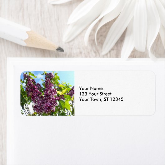 Oregon Lilacs (Insitu)