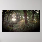 Oregon Magic - Poster (Vorne)