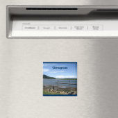 Oregon Magnet (In Situ (Geschirrspüler))