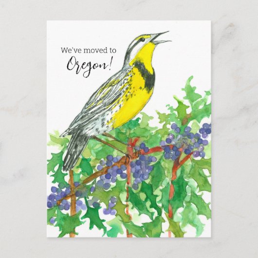 Oregon Meadowlark Traube Postkarte (Vorderseite)
