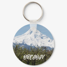 Oregon Mount Hood Foto