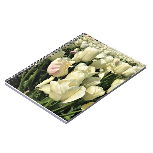 Oregon Notizblock (Linke Seite)