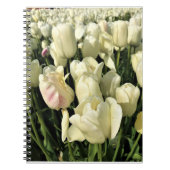 Oregon Notizblock (Vorderseite)