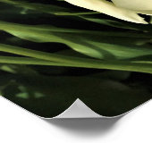 Oregon Poster (Ecke)