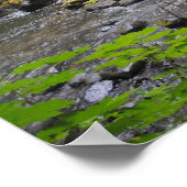 Oregon Poster (Ecke)