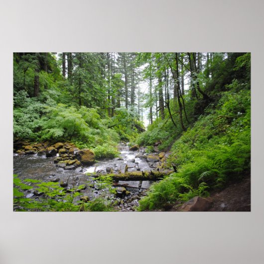 Oregon Poster (Vorne)