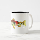 Oregon Redband Trout; Tasse (VorderseiteRechts)