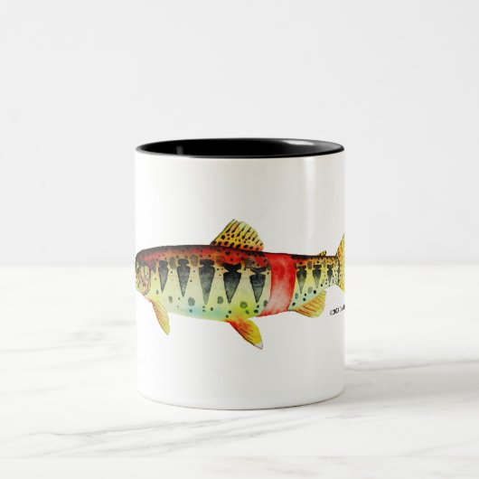 Oregon Redband Trout; Tasse (Mittel)