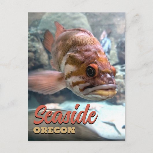 Oregon Rockfish am Meer Postkarte (Vorderseite)